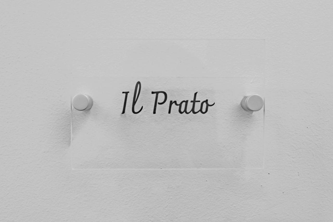 帕多瓦Palazzo '900 Design Flats - Il Prato公寓 外观 照片